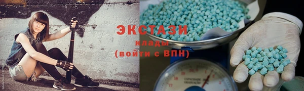 шишки Надым
