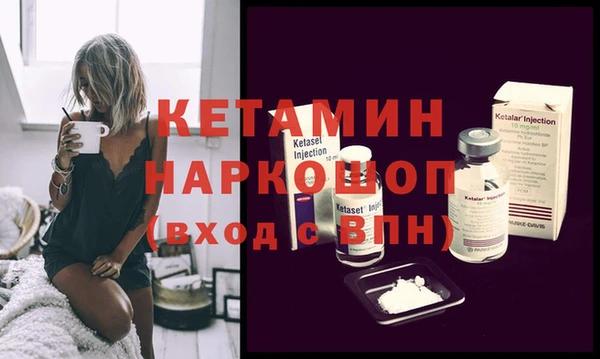 шишки Надым