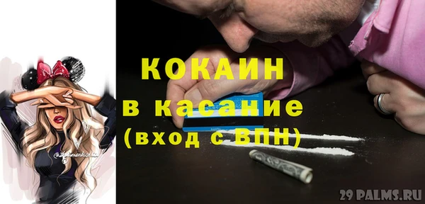 шишки Надым