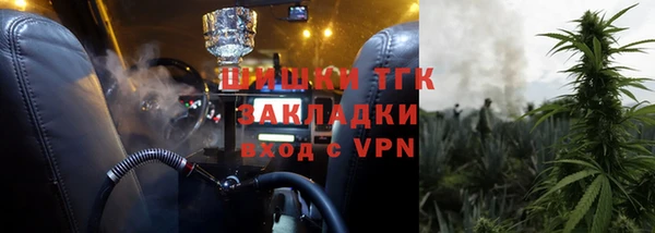 шишки Надым