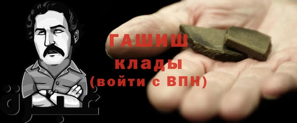 шишки Надым