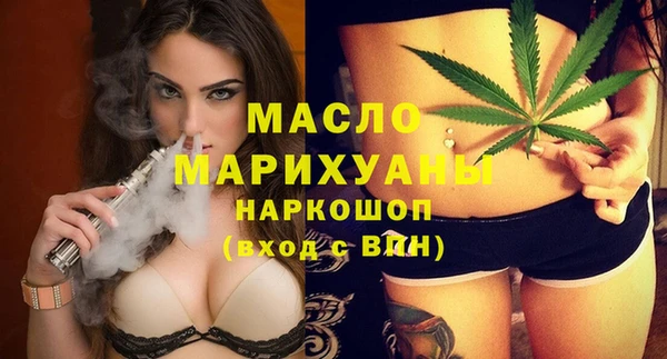 шишки Надым