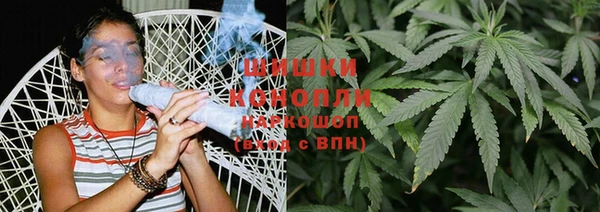 гидра Ахтубинск
