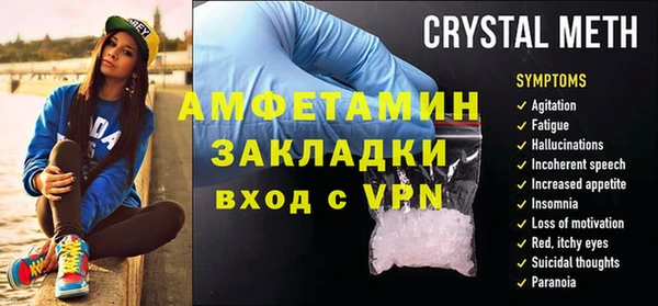 шишки Надым