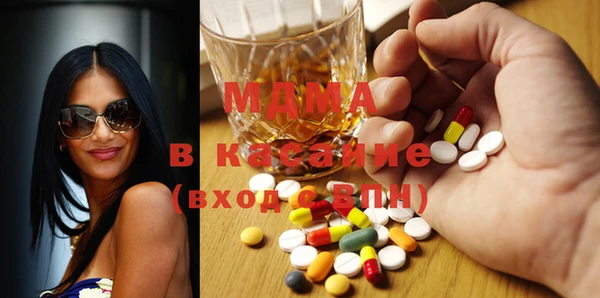 шишки Надым