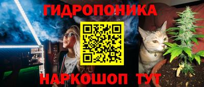 прущие грибы Кингисепп